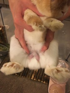 Pillow1.jpg