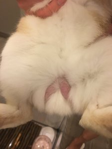 Pillow3.jpg