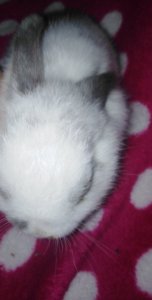 IMG_20201117_212249.jpg