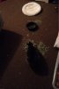 ImageUploadedByRabbit Forum1386658066.726644.jpg