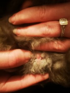 IMG_20201210_175807.jpg