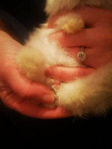 IMG_20201210_180126.jpg