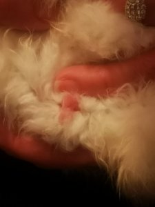 IMG_20201210_180501.jpg