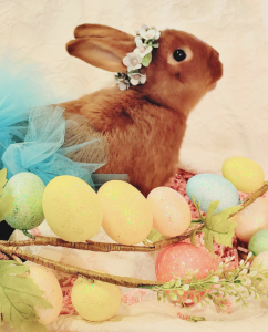 PhotoCollage_20210330_111545519.png
