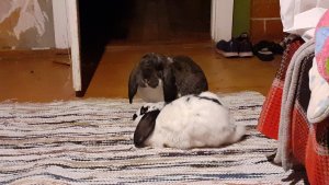 20201011_205253.jpg