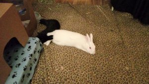 IMG_20210609_200647.jpg