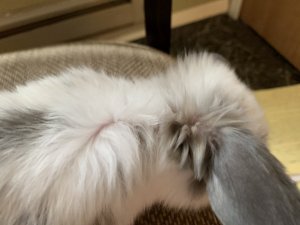 39E15530-6C2A-491C-A66F-B1168C2725AE.jpeg
