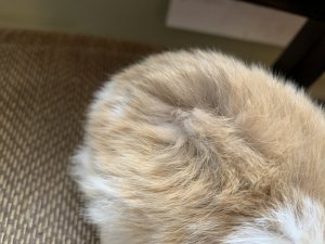 A0486BFB-0C50-474C-9FF4-82E2CA8AB389.jpeg