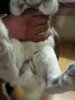 bunny.jpg