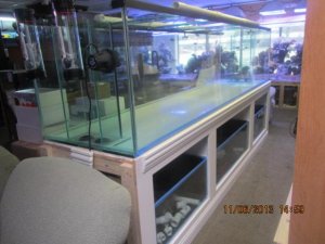 Tank in Shop.jpg