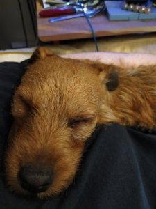 IMG_20200715_120851.jpg