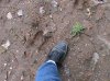 DSC00012.jpg