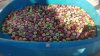 Resized_20160910_105611.jpg
