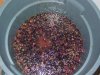 10-5-16_cab-franc-burns.jpg