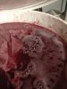 ImageUploadedByWine Making1477159228.346488.jpg