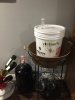 Wine 1.jpg