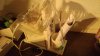 Wine Supplies 8.jpg