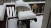 snowygrapes 010.jpg