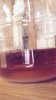 ImageUploadedByWine Making1491842449.964586.jpg