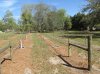2017 03 11-2.jpg