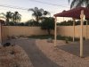 BackyardGrass.JPG