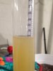 Chardonnay-5.jpg