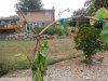 IMG_20170630_101922020.jpg