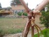 IMG_20170630_101928577.jpg