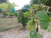 IMG_20170630_101940452.jpg