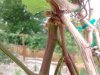 IMG_20170630_101949672.jpg