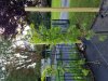 vines.jpg