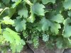 IMG_0708.jpg