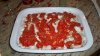 100_1244.jpg