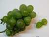 DSC02555.jpg