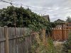 IMG_20180826_164444.jpg