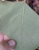 IMG_20180826_164319.jpg