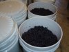 Grapes 2.JPG