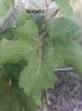upload_2019-6-12_21-4-56.jpeg