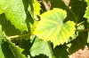 upload_2019-8-11_11-46-44.png