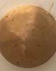 upload_2019-10-11_17-46-17.png