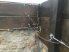 A494E97C-2FBF-45D8-940D-2264DF782339.jpeg
