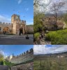 soave-collage.jpg