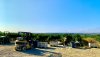 Vineyards3.jpg