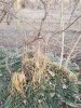 20210228_175618.jpg